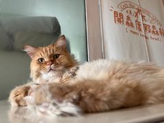 -小时光咖啡馆(开森度假森林店)