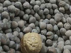 -栗满秋(燕丰西坝河店)