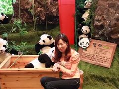 -济州岛泰迪熊博物馆