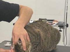 -comecome来吧宠物(奥克斯中心店)