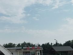 -日照海滨国家森林公园