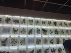 -广东中医药博物馆