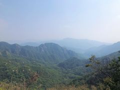 -大岭沟猕猴桃谷风景区