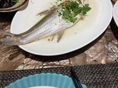 清蒸阳澄湖白丝鱼-阳澄湖费尔蒙酒店颐丰阁中餐厅(马鞍山西路店)