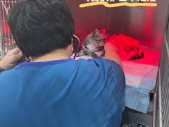 -萌兽医馆·绝育·24小时内科·宠物医院(德胜店)