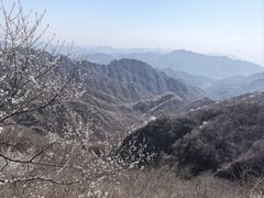 -大岭沟猕猴桃谷风景区