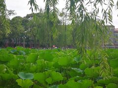 -四川大学(望江校区)