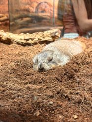 -Zoolung Zoolung动物主题公园(海信广场店)