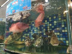 -揭阳钟记小食(福田新村店)