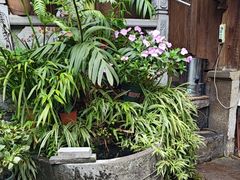 -龙姐私房菜(和顺古镇店)