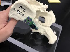 -伟伟宠物医院·CT影像中心·瑞派犬猫综合性门诊(汉口总院)