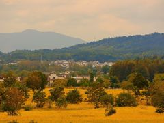 -塔川景区
