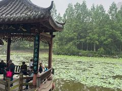 -龙头寺公园