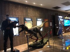 -武商摩尔影城(国广IMAX激光店)