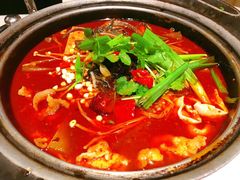 -眉州东坡(民族园店)