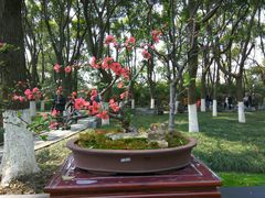 -荆川公园