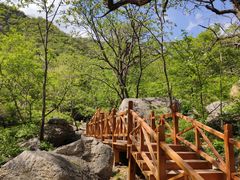-大岭沟猕猴桃谷风景区
