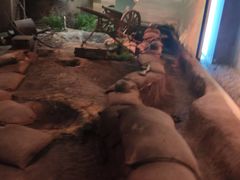 -上海市龙华烈士陵园