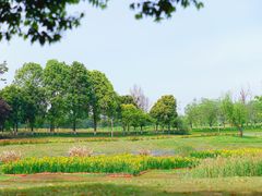 -两河城市森林公园