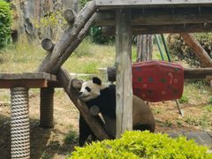 -大连森林动物园