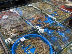 -船奇蒸汽海鲜·闽菜(八市海鲜总店)