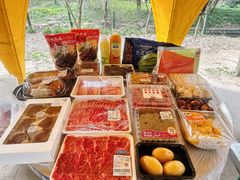 -上海共青森林公园