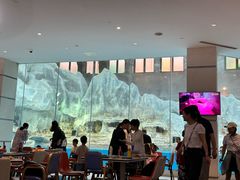 -帝企鹅自助餐厅•儿童岛•真企鹅(长隆企鹅酒店)