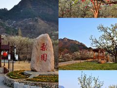 -天津五大道文化旅游区
