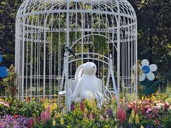 -上海共青森林公园