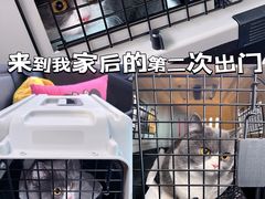 -达爱动物医院·犬猫分区·CT·复杂眼科(远洋山水分院)