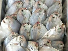 -原龙海鲜大排档(美食地标店)