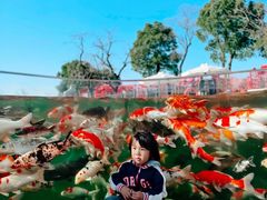 -南京银杏湖乐园