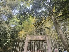 -杭州黄龙洞