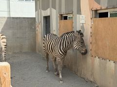 -水上乐园·欢乐世界