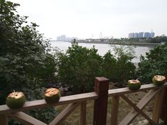 -万绿园
