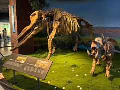 -安徽省地质博物馆