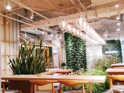 -悦诗风吟innisfree