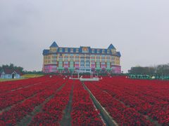 -百万葵园
