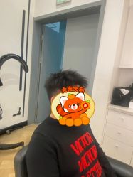 -YESIDO椰岛造型