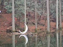 -波尔登森林公园