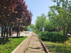 -永定河休闲森林公园