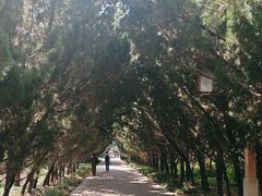 -洛阳市隋唐城遗址植物园