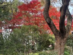 -无锡丽笙精选酒店