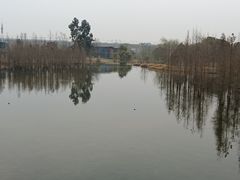 -白鹭湾湿地公园