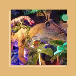 -恐龙探索乐园(磁器口店)