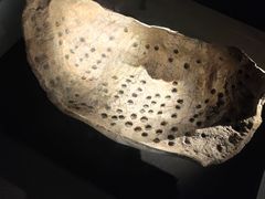 -金沙遗址博物馆