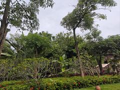 -西双版纳融创皇冠假日度假酒店