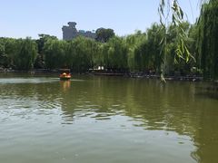 -莲湖公园