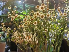 -花二家·生活馆(六运小区店)