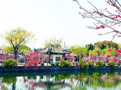 -无锡蠡湖国家湿地公园-蠡园